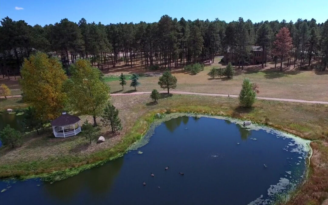 Kings Deer Community