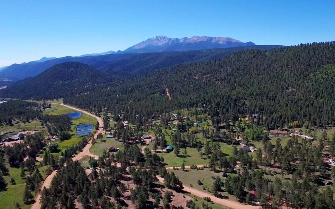 Selley Group Real Estate Neighborhood Preview Woodland Park